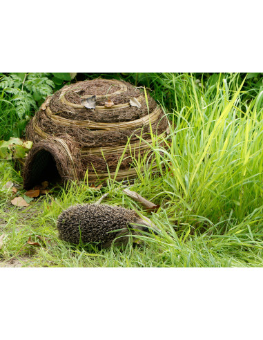 Wildlife World pindsvinehus