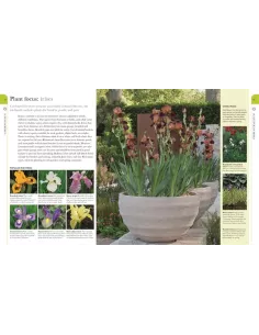 RHS What Plant Where 2