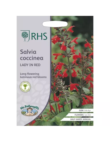 RHS Salvia Coccinea mr.fothergills
