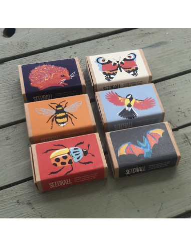 Seedball Collection 6-pack
