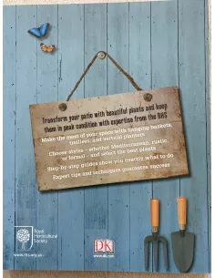 Containers for patios 2