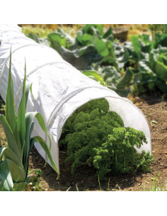 Grow it Tunnel fra Westland