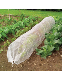 Grow it tunnel mod insekter