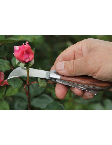 darlac Beskæring og podningskniv hos den engelske gartner shop