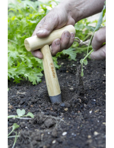 Darlac bambus dibber 2