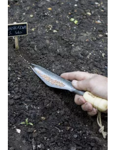 Darlac bambus så ske 2