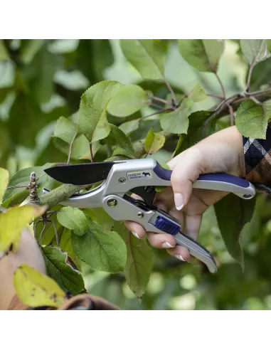 Bulldog letvægt håndsaks hos den engelske gartner shop
