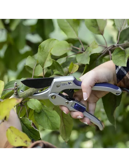 Bulldog letvægt håndsaks hos den engelske gartner shop
