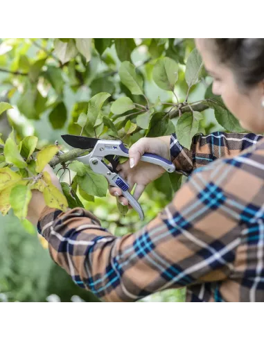 Bulldog letvægt håndsaks hos den engelske gartner shop