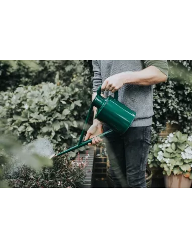 Haws Vandkande The Warley Fall green hos den engelske gartner shop