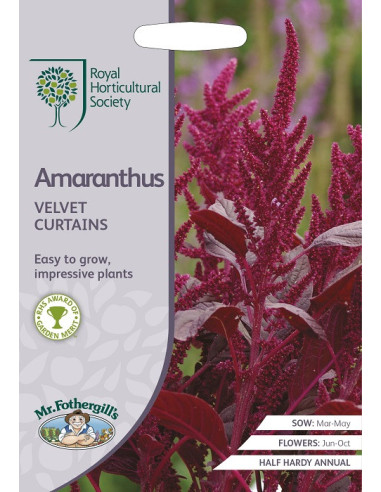 RHS Amaranthus Velvet Curtains mr. fothergills