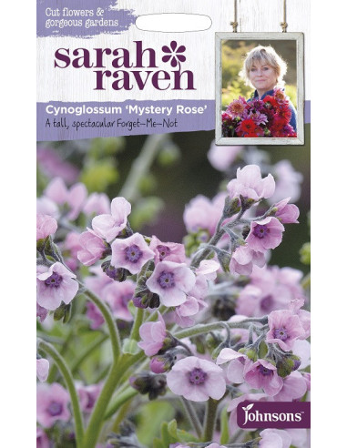 sarah raven Cynoglossum 'Mystery Rose'