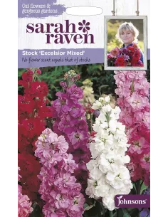 Sarah Raven Stock Excelsior Mixed