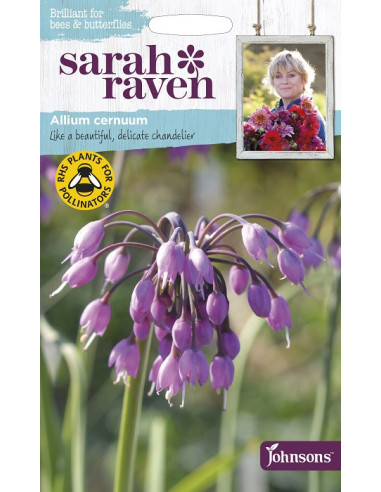 Sarah Raven Allium 'sernuum'