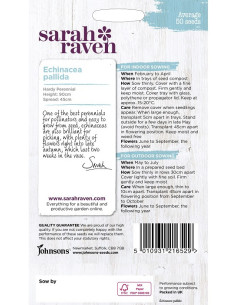 Sarah raven Echinacea 'pallida' 2