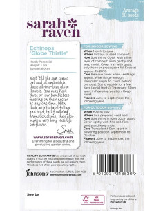 Sarah raven Enchinops 'globe thistle' 2