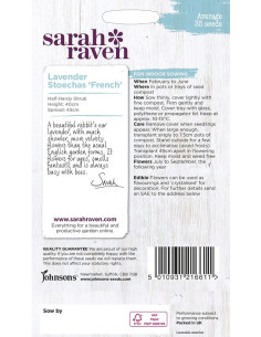 Sarah Raven Lavender 'stoechas french' 2