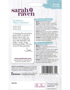 Sarah Raven Scabious 'blue cushion' 2