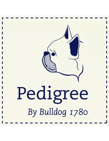 Bulldog letvægt håndsaks hos den engelske gartner shop