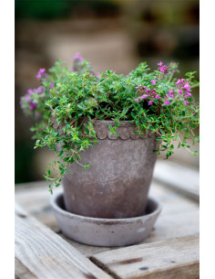 Bergs Potter helena grå 2