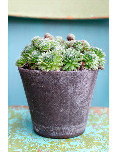 Bergs potter Julie grå 2