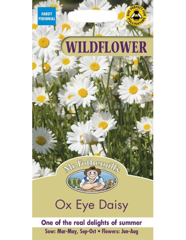 Wildflower Oxe eye daisy mr. fothergills