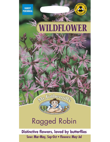 Wildflower Ragged robin mr.fothergills