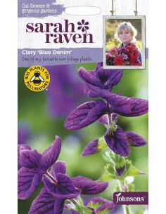 Sarah Raven Clary Blue Denim