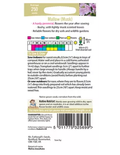 Wildflower Mallow Musk mr.fothergills 2