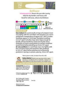 Mr. Fothergill's Wildflower Bellflower 2