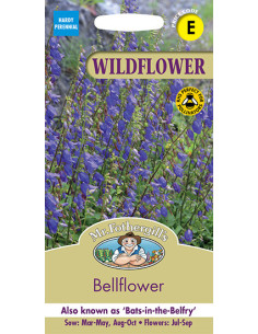 Mr. Fothergill's Wildflower Bellflower