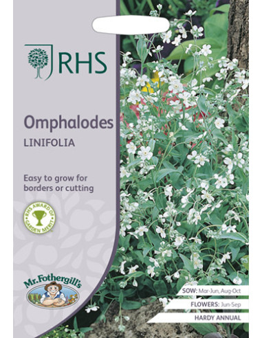 RHS Omphalodes Linifolia