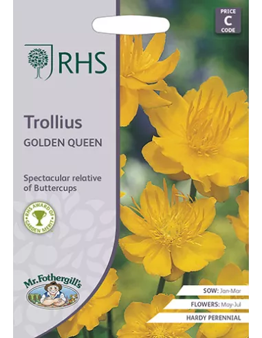 RHS Trollius Golden Queen