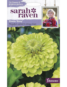 Sarah Raven Zinnia Envy