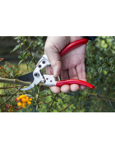 Darlac expert dame håndsaks 2