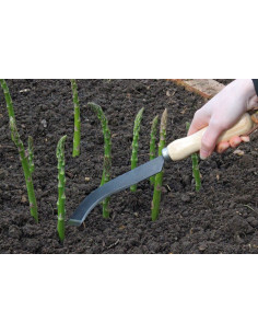 Burgon & Ball aspargeskniv 2