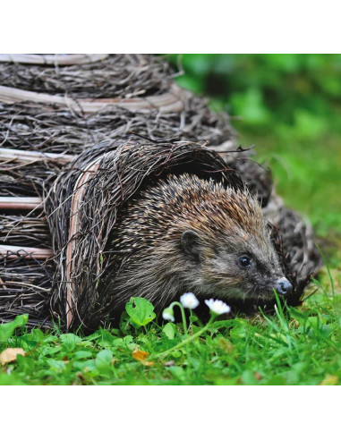 Wildlife World pindsvinehus hos den engelske gartner shop