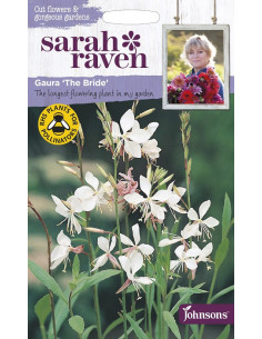 Sarah Raven Gaura 'The Bride'