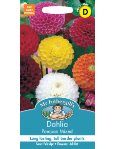 Mr. Fothergill's dahlia pompon mix