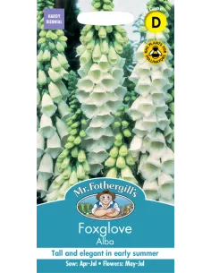 Mr. Fothergill's foxglove alba