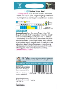 Mr. Fothergill's lupin avalune bicolour mix 2