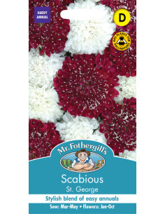 Mr. Fothergill's scabious st. george