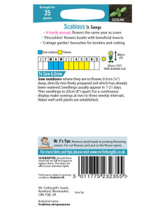 Mr. Fothergill's scabious st. george 2