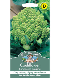 Mr. Fothergill's Cauliflower Romanesco Natalino