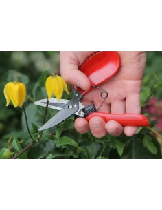 Darlac blomstersaks 2