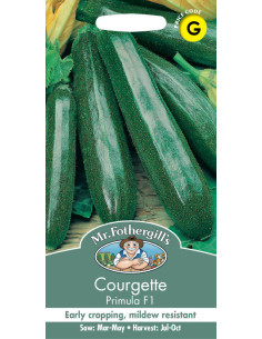 Mr. Fothergill's courgette primula