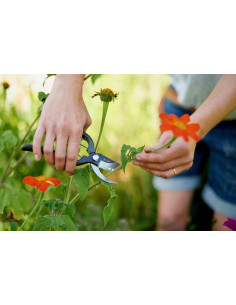 Niwaki sentei håndsaks 2