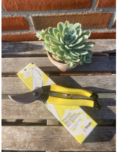 Niwaki mainichi håndsaks 2