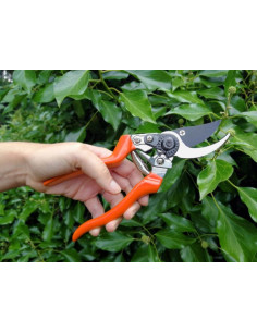 Burgon & Ball venstre håndsaks 2