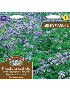 Mr. Fothergill's Green Manure Phacelia Tanacetifolia